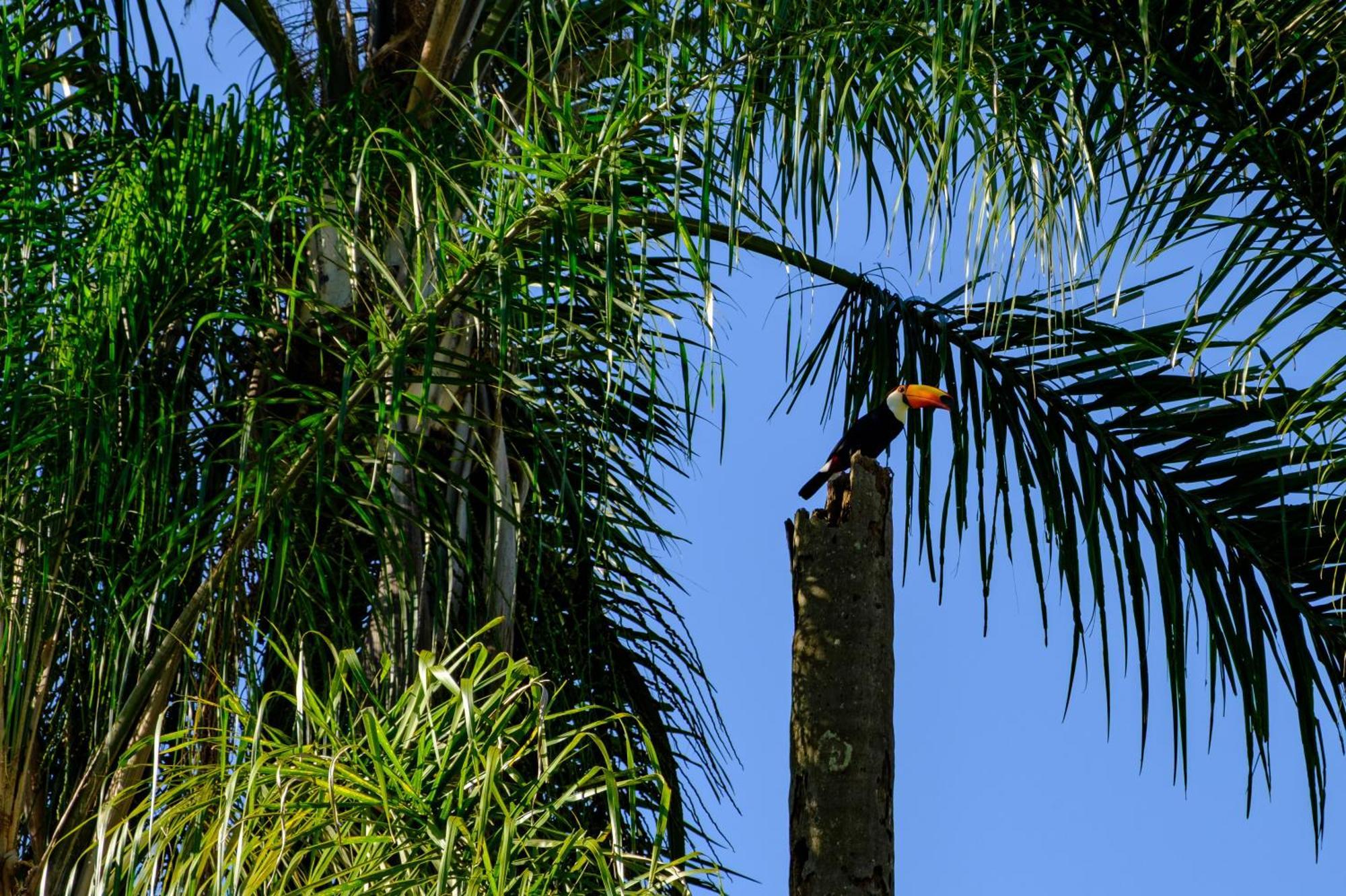 Acalanto Inn Socorro  Buitenkant foto